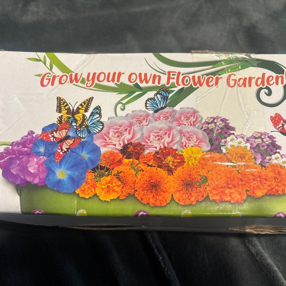 Paint, Plant & Grow Flower‎ Garden Kit
